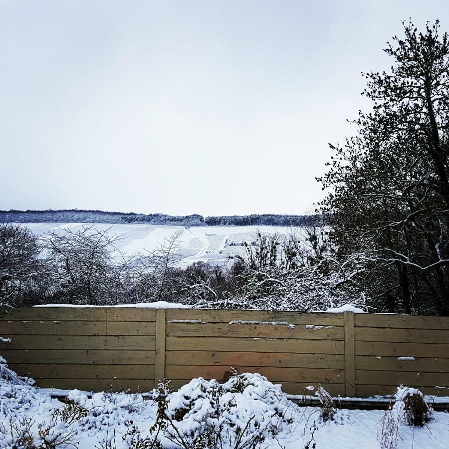 Gite Millesime Et Une Nuit Villers-sous-Châtillon Kültér fotó